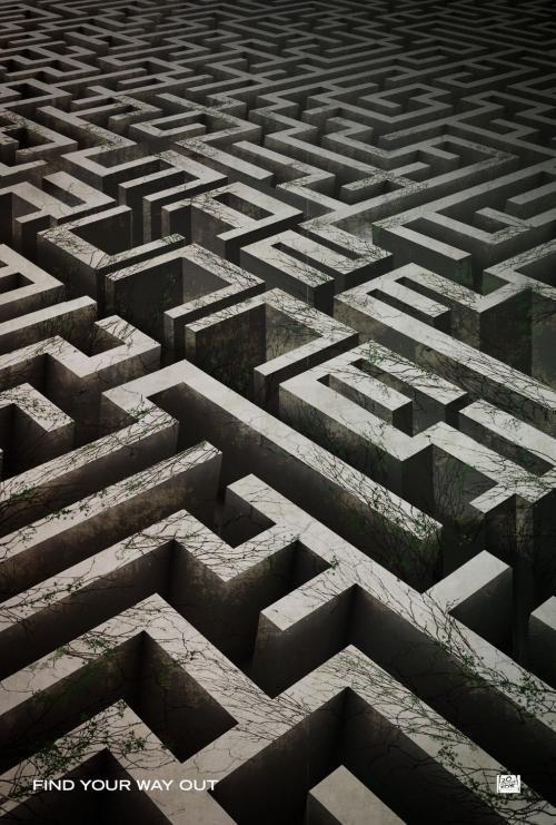 高中毕业证毕字第号